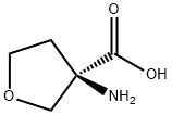 Kwas (R)-3-aminotetrahydrofuran-3-karboksylowy
