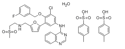 Monohydrat ditozylanu lapatynibu